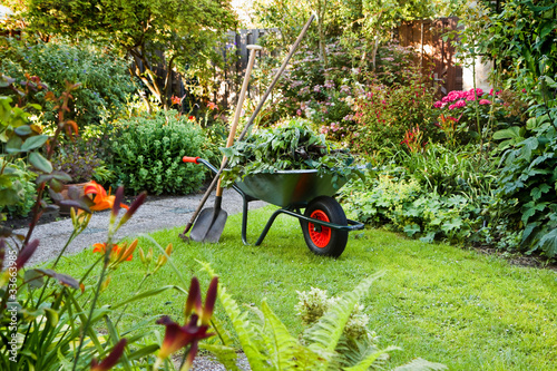 Photo: Working with wheelbarrow in the garden Working with wheelbarrow in the garden