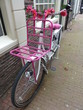 Photo: Unusual floristic bike in Holland Unusual floristic bike in Holland