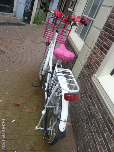 Photo: Unusual dutch flower bike Unusual dutch flower bike