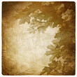 Vintage maple leaves background Vintage maple leaves background