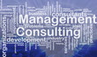 Management consulting word cloud