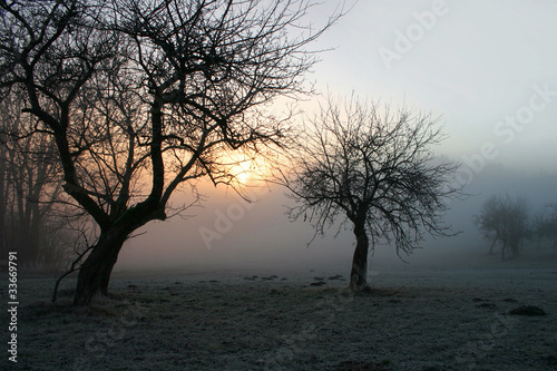 Foto: Mystischer Morgennebel im Bayerischen Wald Mystischer Morgennebel im Bayerischen Wald