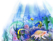 Yellow fish and sea cockleshell