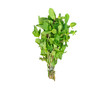 package of mint green