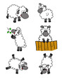 sheep