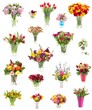 Collection of flowers