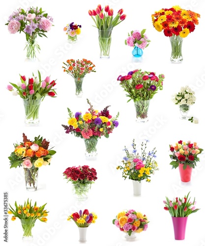 Foto: Collection of flowers Collection of flowers