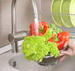 Fresh Vegetables Washing