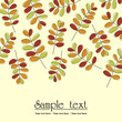 Autumn leaves Autumn leaves