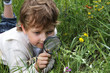 boy with magnifying glass outdoors