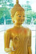 Face of beautiful golden buddha statue Face of beautiful golden buddha statue