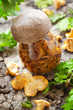 Pickled mushrooms