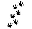 Animal footprints