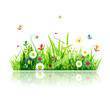 Summer green meadow for your design Summer green meadow for your design
