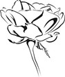 Rose like Tribal