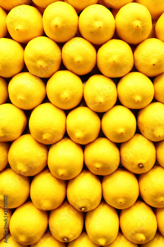 Photo: Lemons Lemons