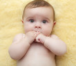 beau visage de bébé joufflu
