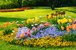 Blumenbeet