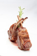 Lamb lion with thyme isolated on a white background