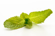Photo: Mint leaves isolated on a white background Mint leaves isolated on a white background
