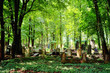 Jewish Cemetery in Wroclaw, Poland Jewish Cemetery in Wroclaw, Poland