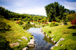rivière dans les cévennes
