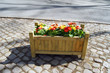 flowerbed
