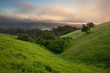Typical hilly California chaparral meadow at sunset on foggy day