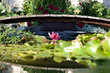 Garden lake