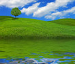 Country Lake Scene