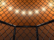 Fight cage , 3d illustration