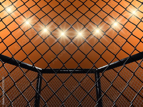 Illustration: Fight cage , 3d illustration Fight cage , 3d illustration