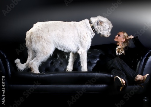 Foto: junge Frau & Irish Wolfhound auf Ledersofa junge Frau & Irish Wolfhound auf Ledersofa