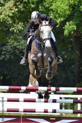 Foto: Pferd beim Sprung Pferd beim Sprung