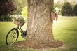Old Bicycle Decorated with Flowers Leaning Against A Tree Old Bicycle Decorated with Flowers Leaning Against A Tree