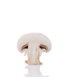 Half cutted mushroom
