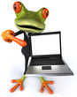 Business frog