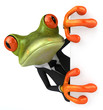 Business frog