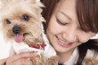小犬と女性