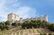 Castillo de Peñafiel en Valladolid