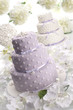 torte_004