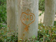 Tree Initials