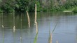 Small river Tereshka