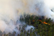 forest fire