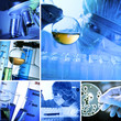 Lab Collage