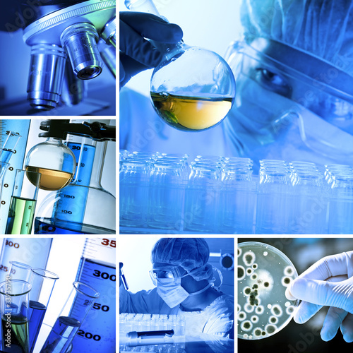 Photo: Lab Collage Lab Collage