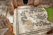 Ancient Roman Baths of Neptune Mosaic Floors Ostia Antica Rome I Ancient Roman Baths of Neptune Mosaic Floors Ostia Antica Rome I