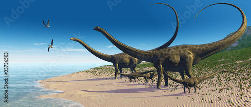 Illustration: Diplodocus Herd Diplodocus Herd