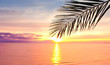 Ocean Paradise Beauty Ocean Paradise Beauty