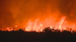 Great fire in prairy